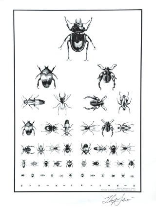 Beetle Optometry Chart. Helen GOTLIB, artist and designer.